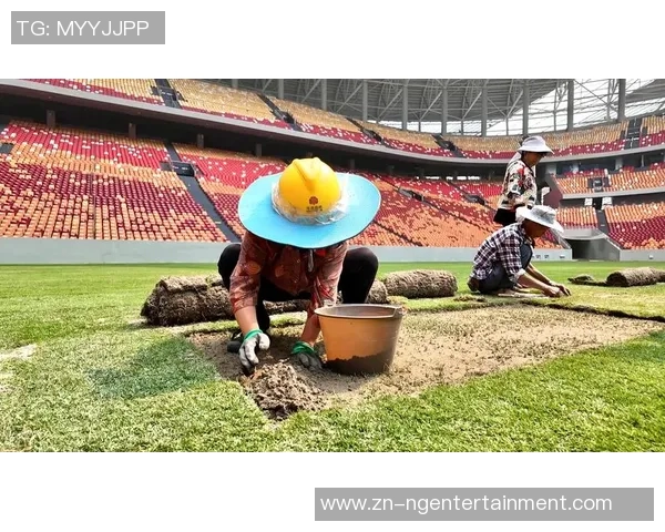 世界杯足球场面积对比赛环境和观众体验的影响分析